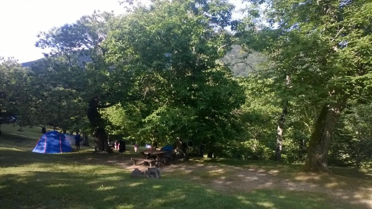 캠프장 Camping 카말돌리 이탈리아