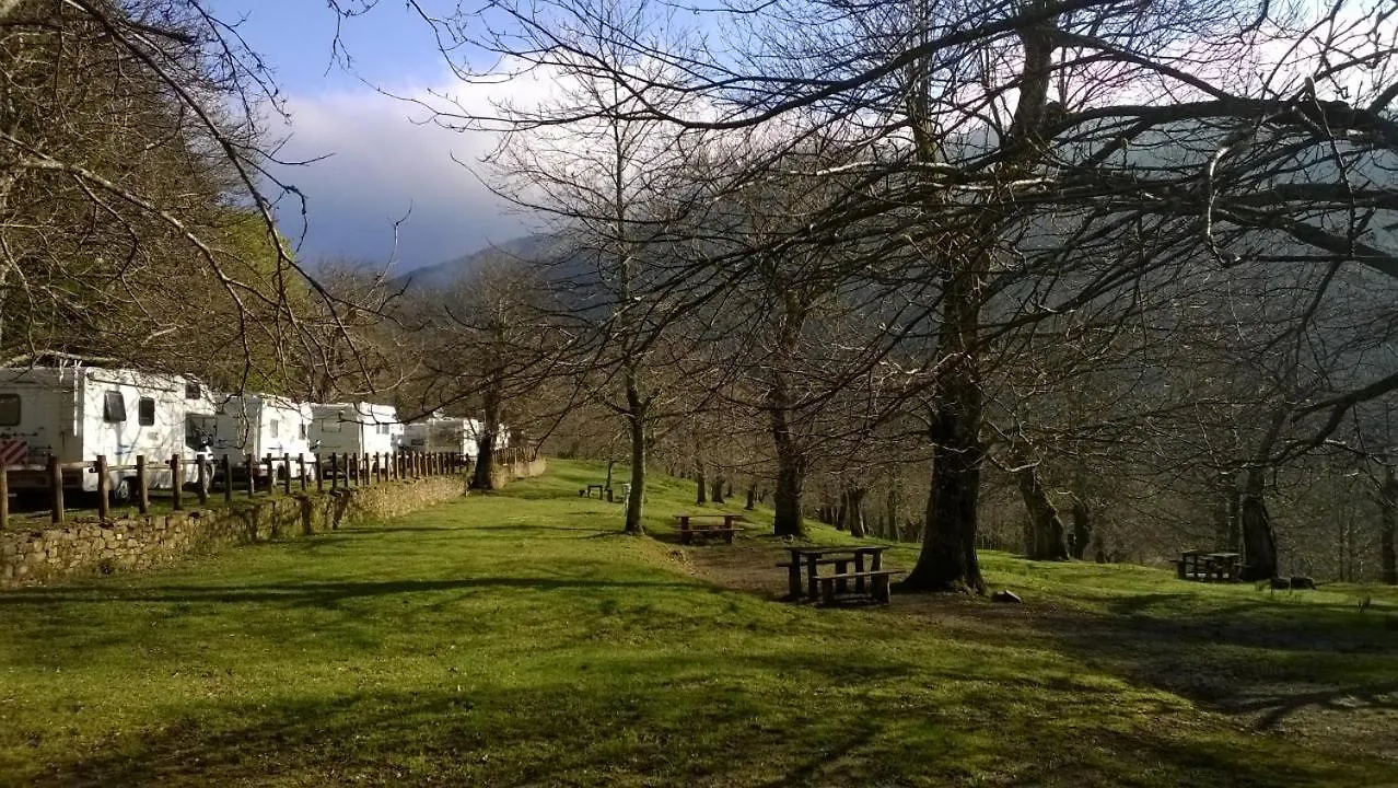 캠프장 Camping 카말돌리