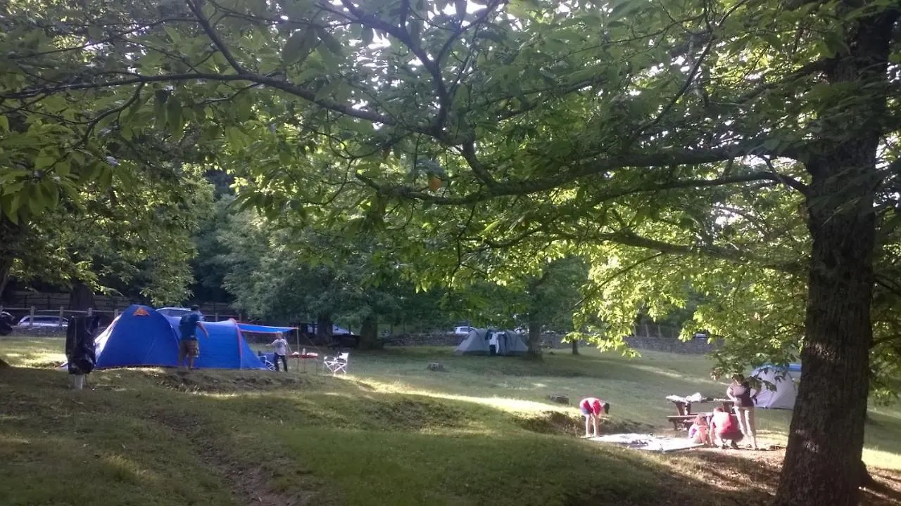 Camping 카말돌리