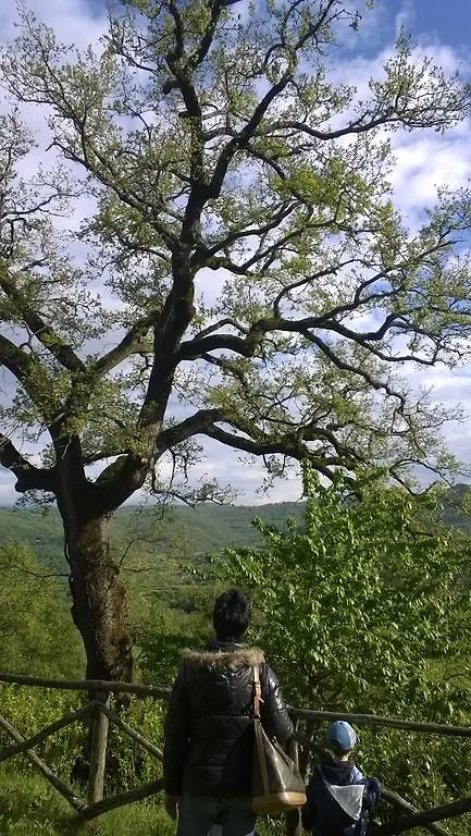 캠프장 Camping 카말돌리