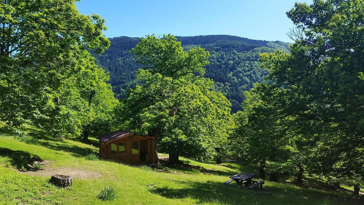 캠프장 Camping 카말돌리